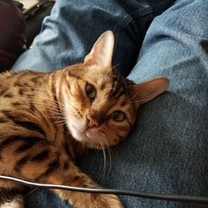 Meet your Posher, Michael